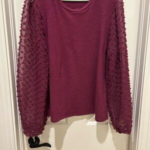 Maeve by Anthropologie Deep Burgundy Sweater Blouse with Textured Sleeves